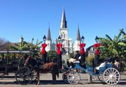 NOLA New Year's Eve Photo