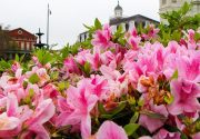 A Dozen French Quarter Museums to Explore During Museum Month Photo