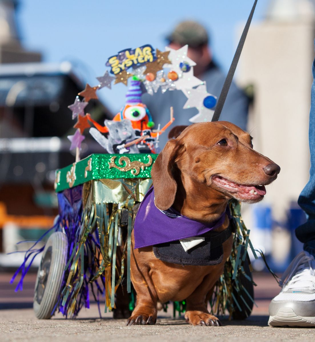 krewe of brakes