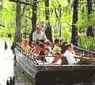 Honey Island Swamp Tours